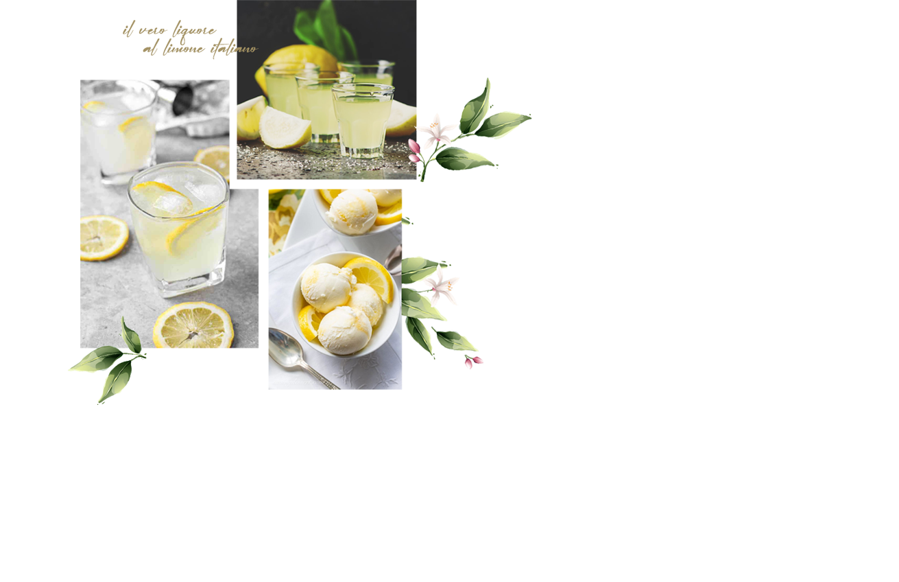 Lemonchero